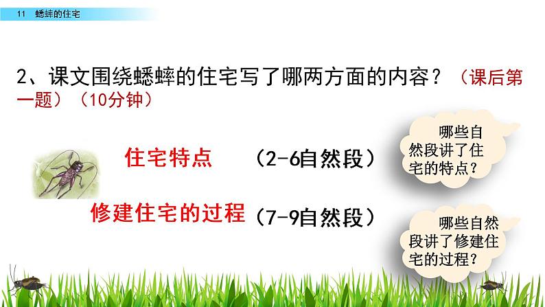 部编版四年级语文上册      11 蟋蟀的住宅课件PPT第7页