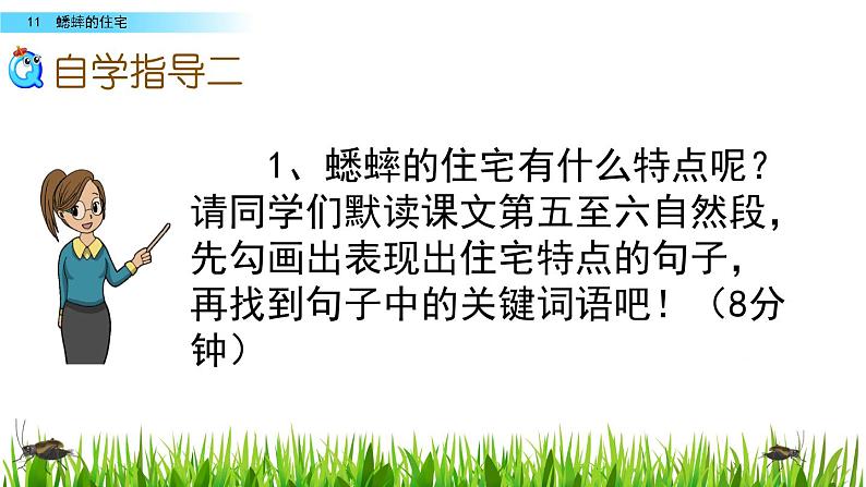 部编版四年级语文上册      11 蟋蟀的住宅课件PPT第8页