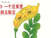 部编版四年级语文上册    5 一个豆荚里的五粒豆课件PPT