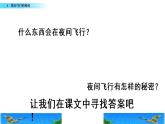 部編版四年級(jí)語(yǔ)文上冊(cè)   6 蝙蝠和雷達(dá)課件PPT