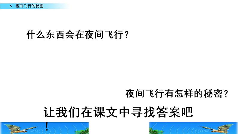 部编版四年级语文上册   6 蝙蝠和雷达课件PPT01