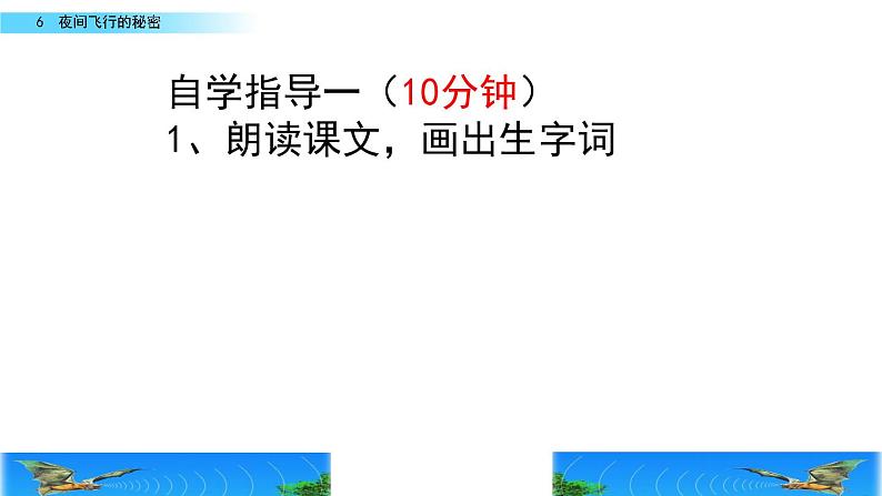 部编版四年级语文上册   6 蝙蝠和雷达课件PPT04