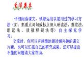 六年级上册第八单元 课文24 少年闰土课件PPT