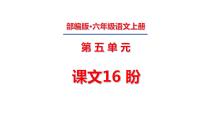 人教部编版六年级上册17 盼课文ppt课件