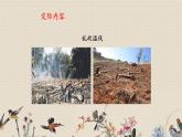 人教部编版四年级上册语文 《口语交际：我们与环境》课件
