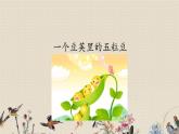 人教部编版四年级上册语文 《一个豆荚里的五粒豆》课件