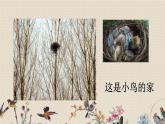人教部编版四年级上册语文 《蝴蝶的家》课件
