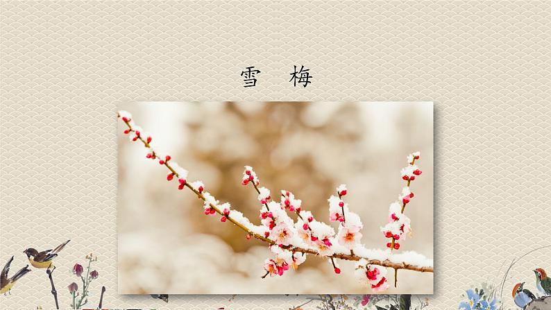 人教部编版四年级上册语文 古诗三首《雪梅》课件01