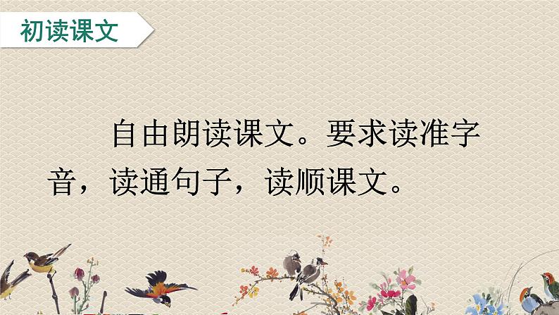 人教部编版四年级上册语文 《爬山虎的脚》课件05