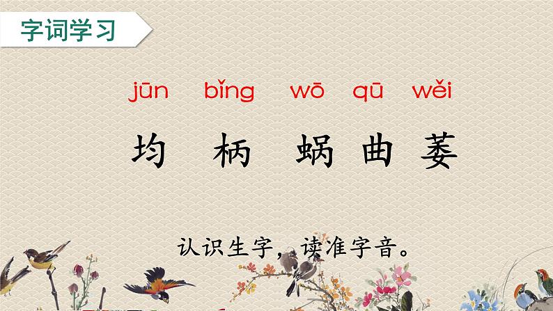 人教部编版四年级上册语文 《爬山虎的脚》课件06