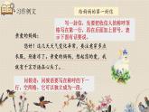 人教部编版四年级上册语文 第七单元《习作：写信》课件
