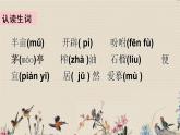 人教部编版五年级上册语文《落花生》课件