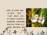 人教部编版五年级上册语文《珍珠鸟》课件