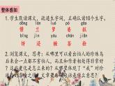 人教部编版五年级上册语文《珍珠鸟》课件