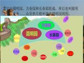 人教部编版五年级上册语文《圆明园的毁灭》课件