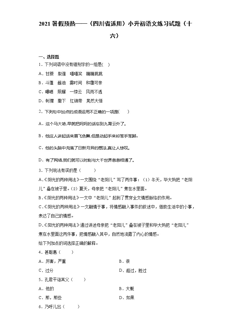 2021暑假预热——（四川省适用）小升初语文练习试题（十六）01