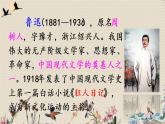 人教部编版六年级上册语文第八单元《少年闰土》课件