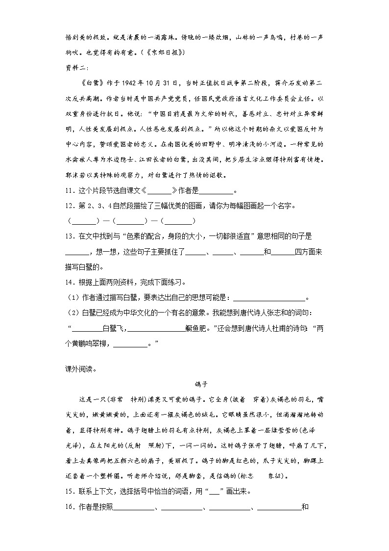 部编版语文五年级上白鹭同步练习03