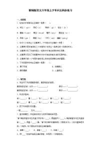 人教部编版六年级上册25 少年闰土习题