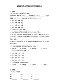 小学语文18 慈母情深巩固练习