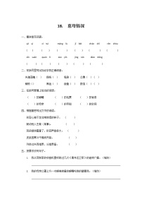 人教部编版五年级上册18 慈母情深课时训练