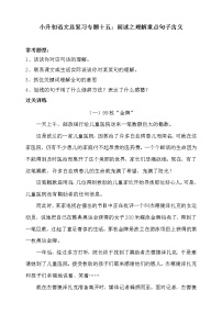 人教统编版小升初语文总复习十五·阅读之理解重点句子含义同步练习（含答案）