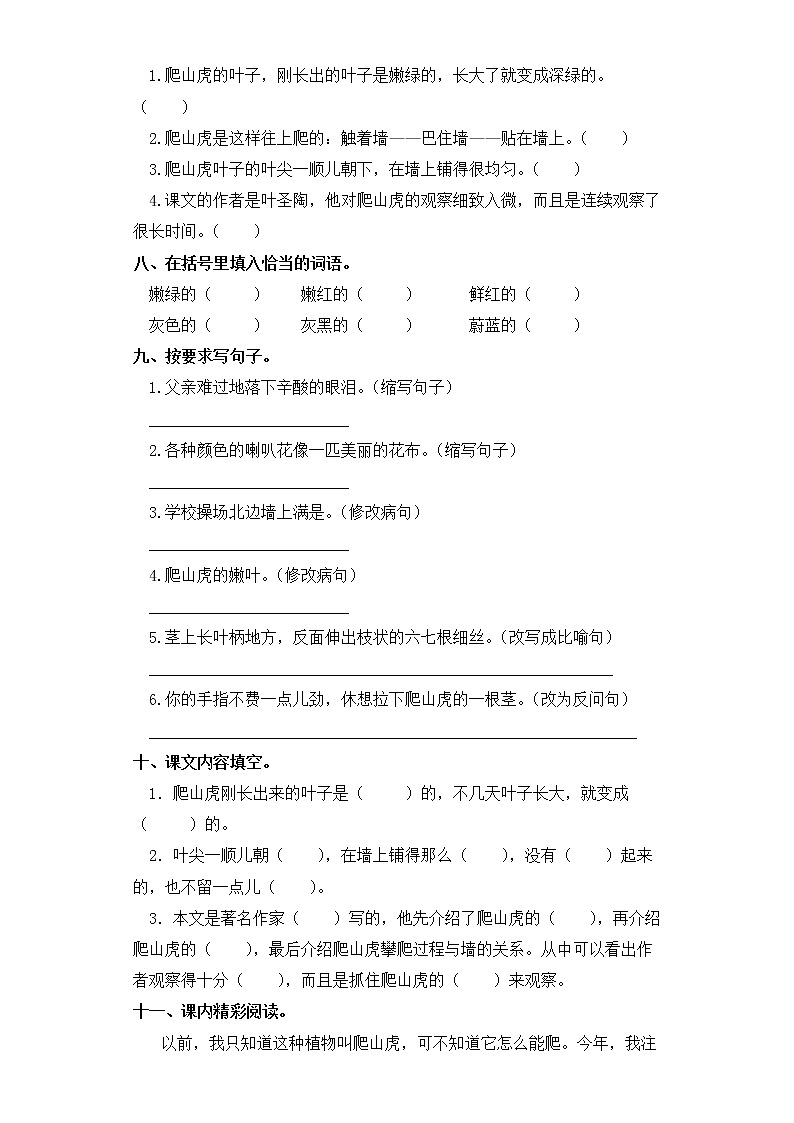 四年级上册语文同步练习-第10课 爬山虎的脚 部编版（含答案）02