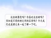 部编版二上语文课件2 树之歌