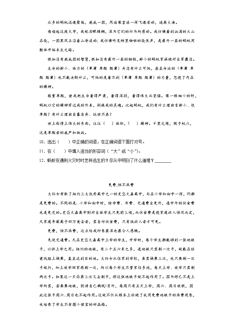 暑假预热——小升初语文练习试题（十七）第3页