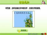 人教部编版二年级上册3.植物妈妈有办法【第1课时】课件PPT