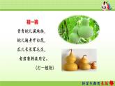 人教部编版二年级上册14.我要的是葫芦【第1课时】课件PPT