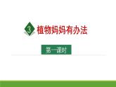 部编版二年级语文上册3《植物妈妈有办法》课件-2课