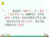 部编版六年级上册语文课件-24 少年闰土_人教部编版(共42张PPT)