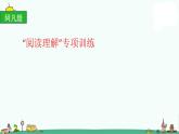 部编版六上语文阅读理解训练PPT课件