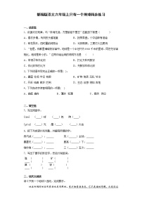 2021学年19 只有一个地球当堂达标检测题