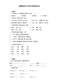 小学语文人教部编版六年级上册17 盼同步测试题