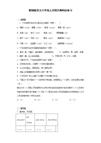 小学语文人教部编版六年级上册7 开国大典同步练习题