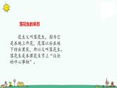 部编版五年级上册语文课件-2《落花生》课时1人教（部编版） (共22张PPT)