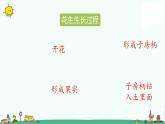 部编版五年级上册语文课件-2《落花生》课时1人教（部编版） (共22张PPT)
