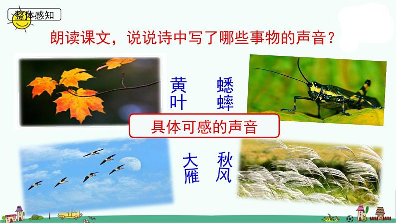 部编三上7《听听，秋的声音》2019版课件PPT第7页