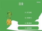 2021年部编版五年级上册《落花生》课件