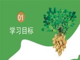 2021年部编版五年级上册《落花生》课件