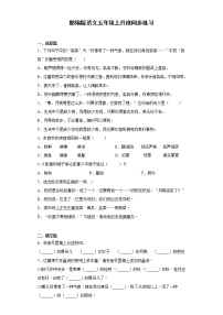 2021学年第七单元24* 月迹练习