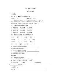 小学27* 我的“长生果”练习