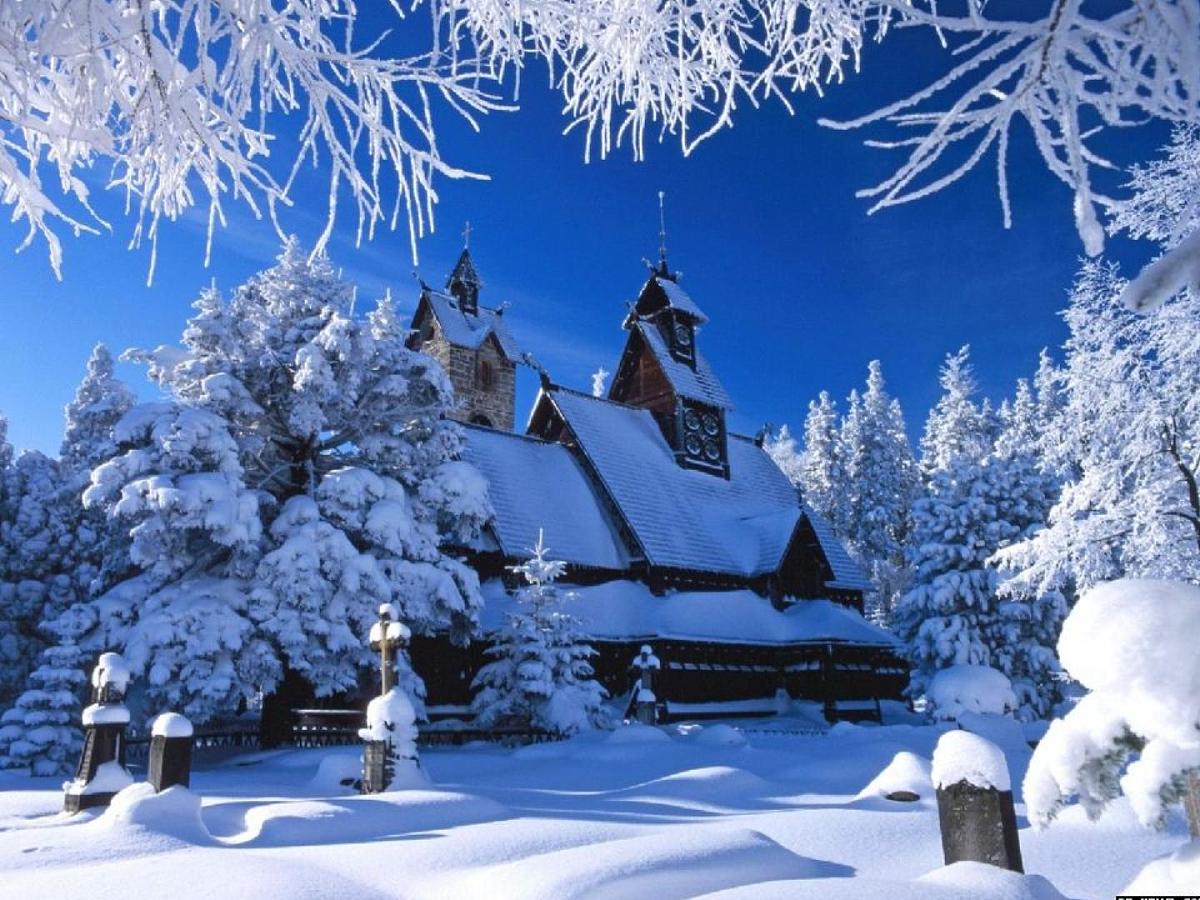 语文一年级上人教版（新疆专用）3.5《雪地里的小画家》课件（47张）第2页