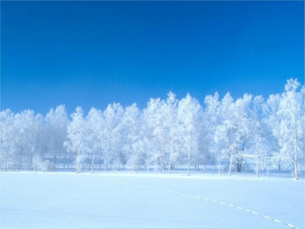 语文一年级上人教版（新疆专用）3.5《雪地里的小画家》课件（47张）第4页