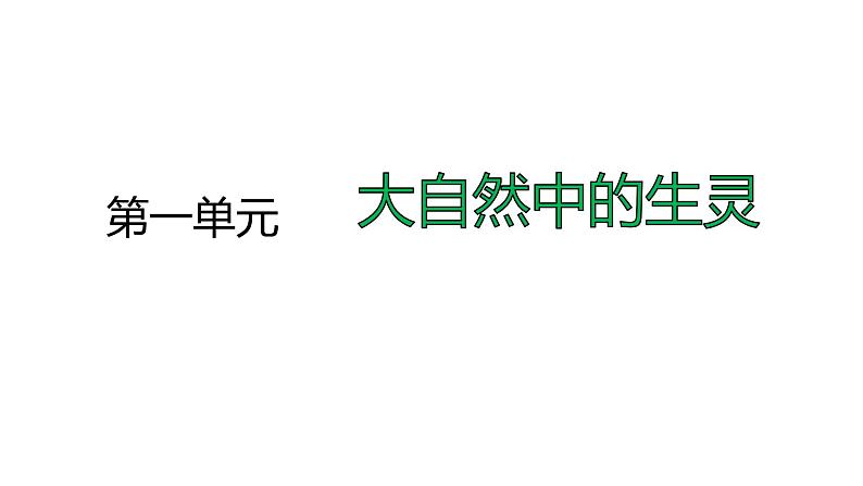 第一单元 第一课古诗三首课件PPT第3页