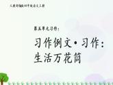 小学语文部编版四年级上册  第5单元  习作例文·习作：生活万花筒  课件+教案