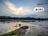 小学语文部编版四年级上册  第1单元  习作一：推荐一个好地方  课件+教案