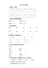 小学语文人教部编版五年级上册16 太阳当堂达标检测题